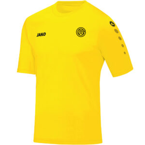 JAKO Trikot Team Kurzarm – Verschiedene Farben
