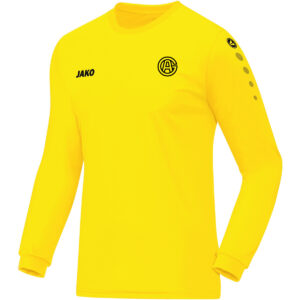 JAKO Trikot Team Langarm – Verschiedene Farben